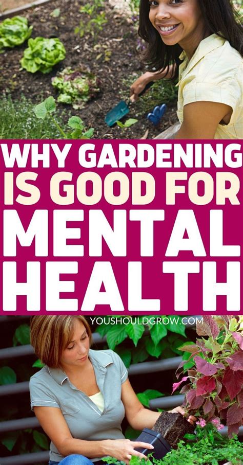 garden feelings|emotional benefits of gardening.